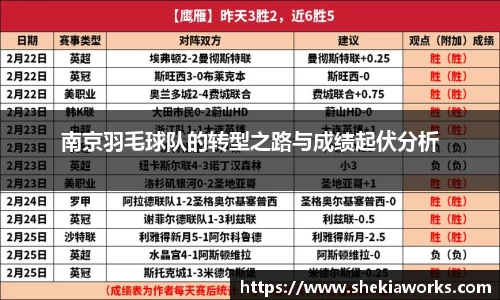 南京羽毛球队的转型之路与成绩起伏分析