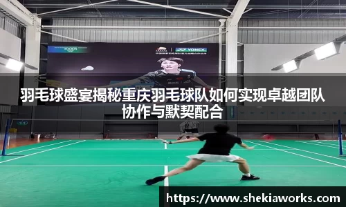 羽毛球盛宴揭秘重庆羽毛球队如何实现卓越团队协作与默契配合