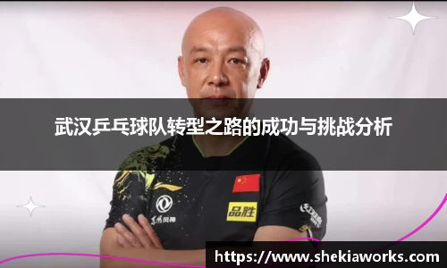 武汉乒乓球队转型之路的成功与挑战分析
